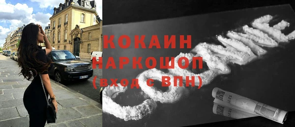 стаф Алзамай