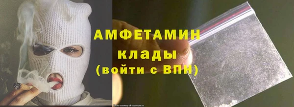 стаф Алзамай