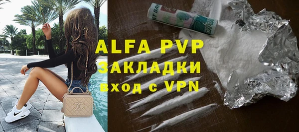 стаф Алзамай