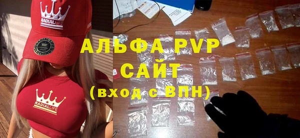 стаф Алзамай
